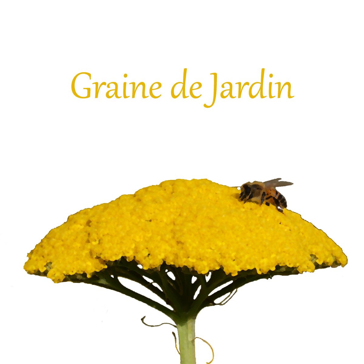 Graine de Jardin